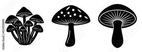 Silhouette set of graphic illustration of wild fungus and toadstools in black and white