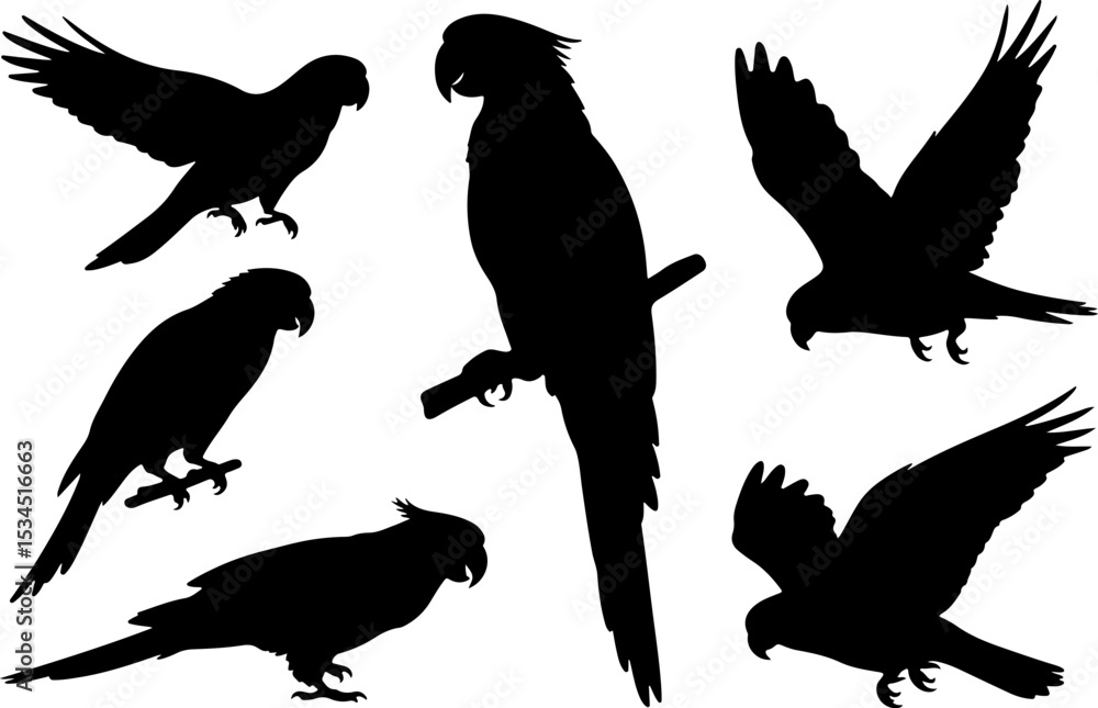 Obraz premium A set of black silhouettes of parrots in various poses, including perched, flying, and different angles.
