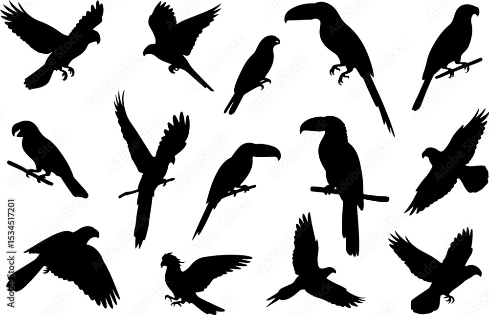 Obraz premium Silhouettes of various tropical birds in flight and perched.