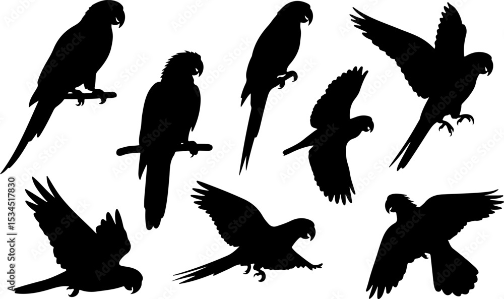 Obraz premium Flying birds silhouettes vector collection
