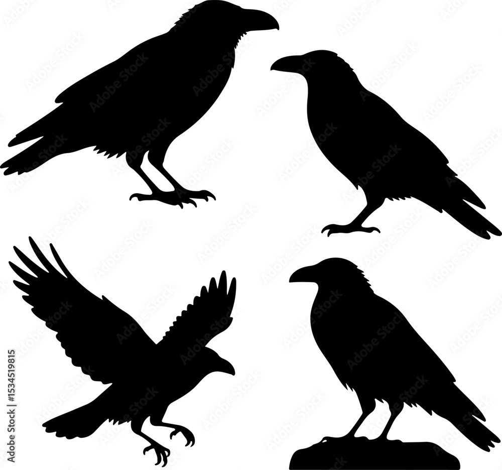 Collection of Silhouette Crows in Various Poses Collection of Silhouette Crows in Various Poses