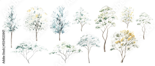 Vector illustration of set architectural trees for landscape design in a watercolor style, white background