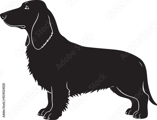 Basset Fauve de Bretagne Dog Vector Silhouette