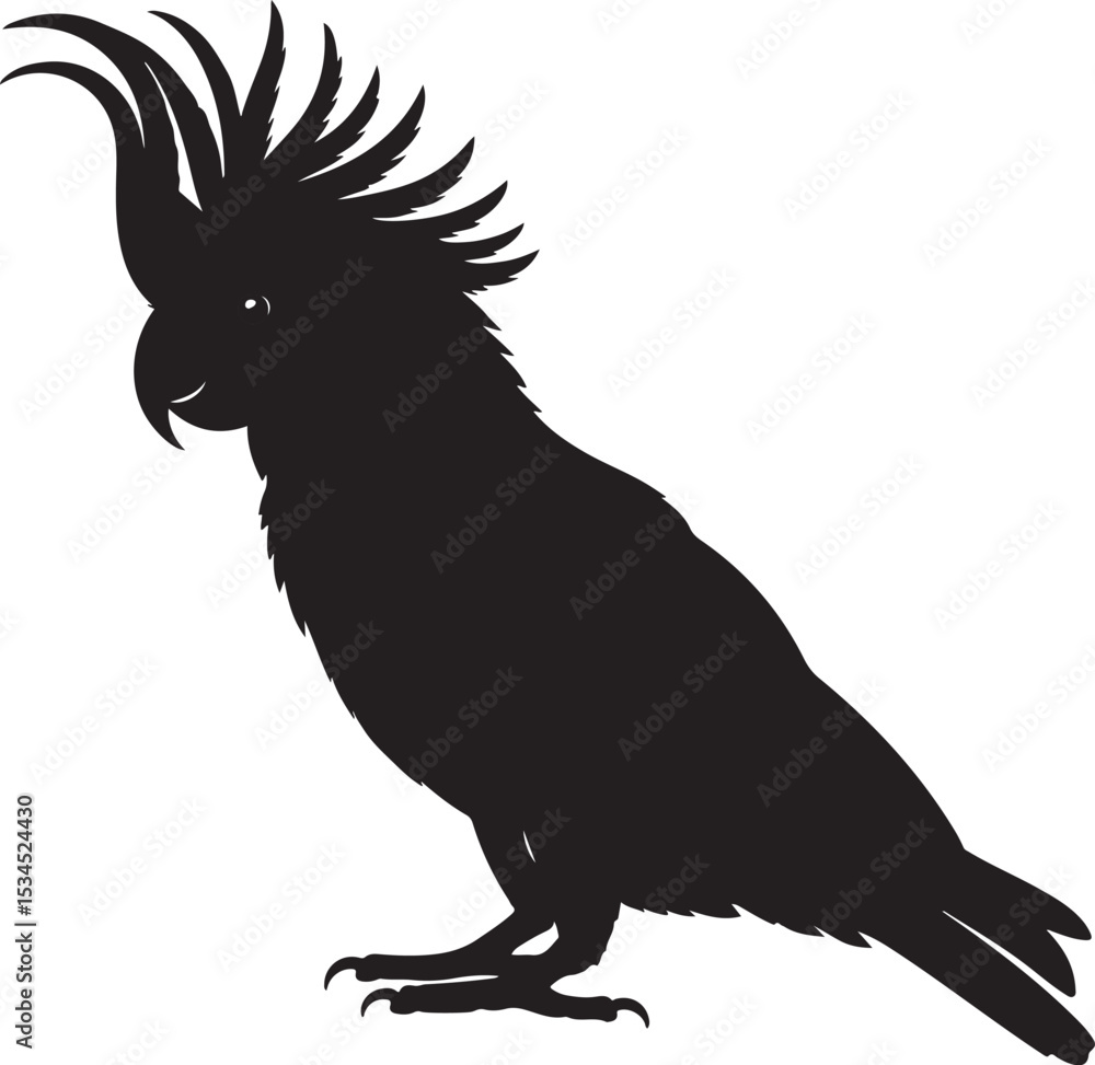Fototapeta premium Cockatoo Vector Silhouette