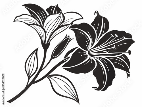 Elegant black and white lily flower illustration