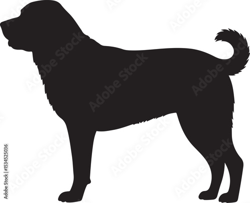 Anatolian Shepherd Dog – Solid Black Silhouette and Outline Vector Set