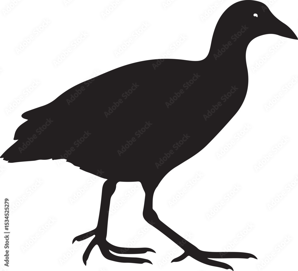 Fototapeta premium Black Crake – Solid Black Silhouette and Outline Vector Set