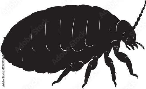 Biting Louse – Solid Black Silhouette and Outline Vector Set