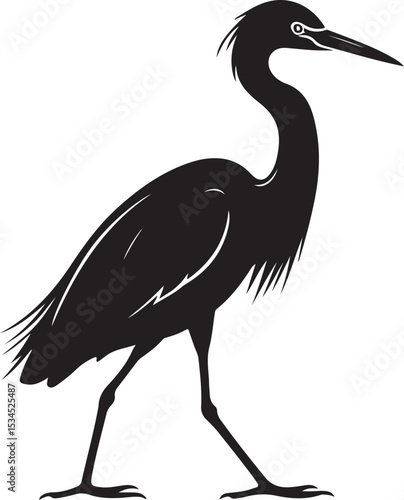 Egret Side View – Solid Black Silhouette and Outline Vector Set