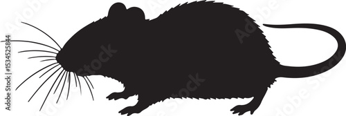 Indian Bush Rat Silhouette