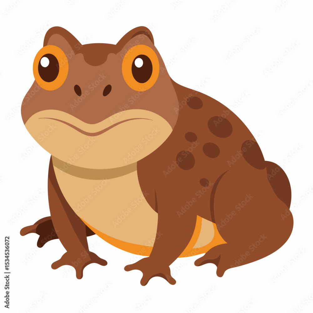 Fototapeta premium Burrowing Frog Vector on White