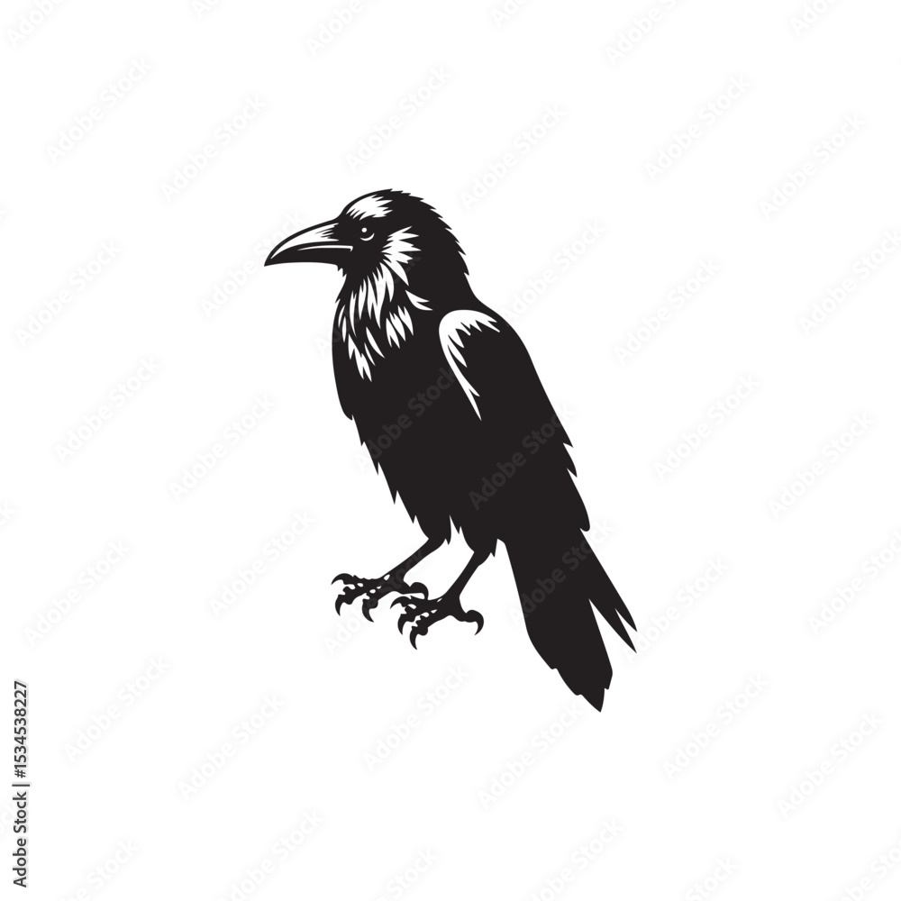 Obraz premium Crow Vector (4).eps
