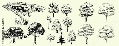 Hand-drawn tree illustration vector set featuring a variety of tree doodles in a minimal and organic line-art style.