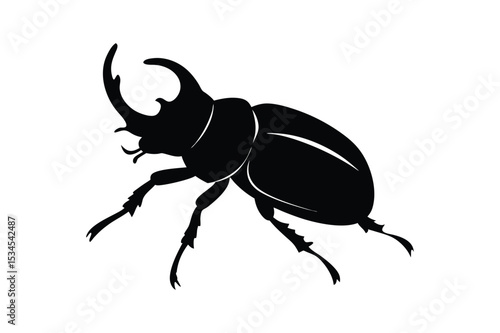 Beetle silhouette vector bundle  illustration