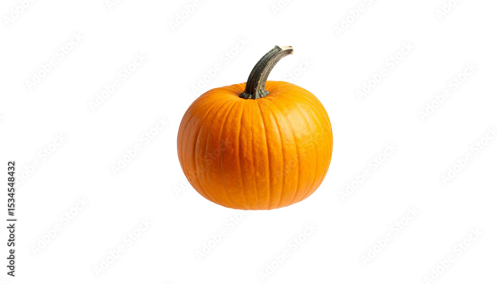 Fototapeta premium pumpkin