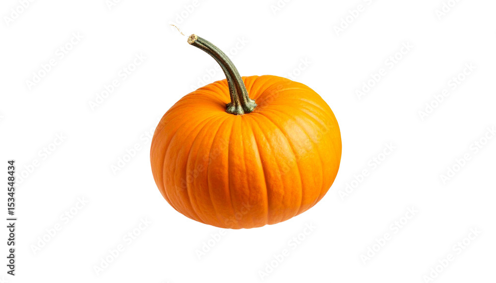 Obraz premium pumpkin