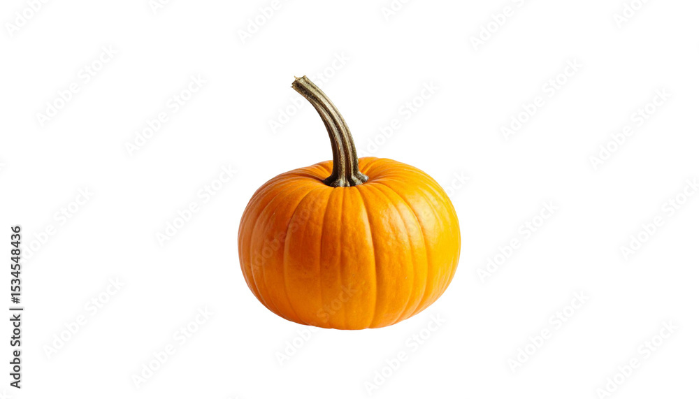 Obraz premium pumpkin