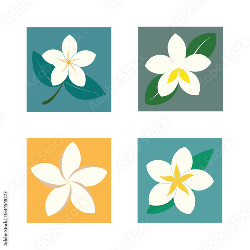 Four beautiful plumeria flowers with green leaves and different background colors vector