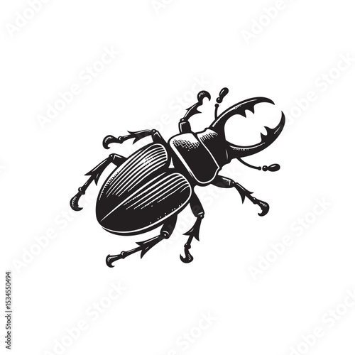 Weevil Vector (1).eps
