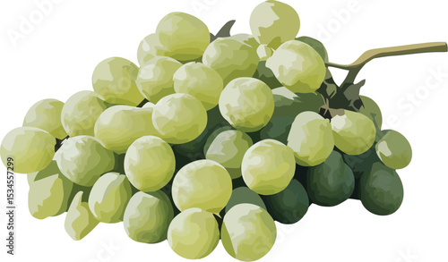 Fresh green grapes harvested for consumption with healthy and natural food concept
