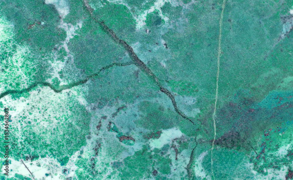 image to crop