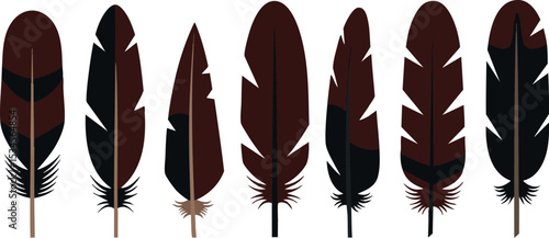 Brown and black feathers set vector illustration with natural textures and shapes 