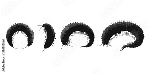 Exploring soil life through vector silhouettes of various soil organisms in a detailed and isolated design