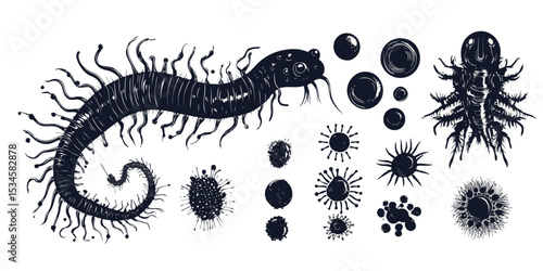 Silhouette icons representing beneficial microorganisms in a vector style suitable for educational or illustrative purposes