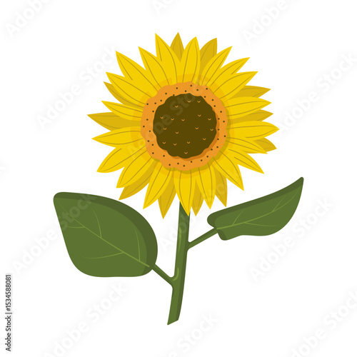 Bright and cheerful illustration of a sunflower with green leaves on a white background. Perfect for summer design, packaging, greeting cards, educational materials, and botanical prints.
