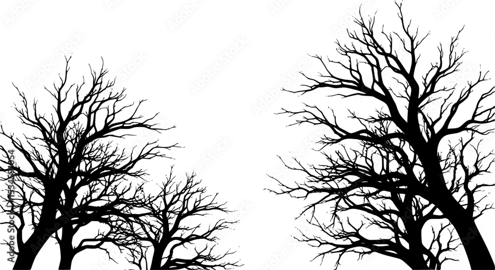 Fototapeta premium Spooky bare trees silhouetted against a white background for Halloween decoration 