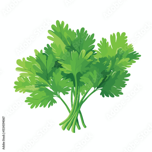 Premium Parsley Leaf Vector Illustration for Healthy Food Concepts