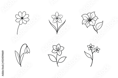 Line art vector illustration set of chocolate cosmos flax gloxinia snowdrop wallflower waxflower Line Art Vector illustration
