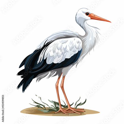 Stork Bird Animal Vector Illustration Isolated on White Background for Wildlife Design Projects