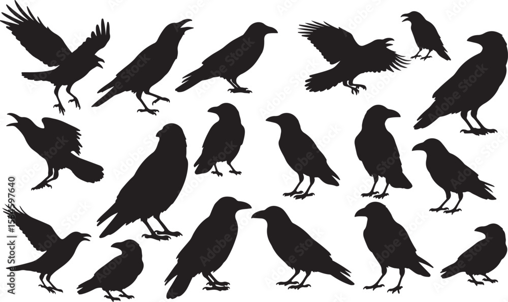 Obraz premium Crow Silhouettes Vector Pack