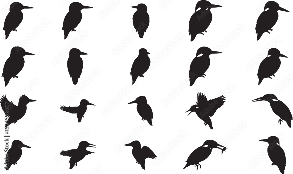 Obraz premium Kingfisher Silhouettes Vector Pack
