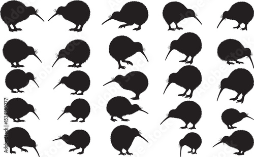 Kiwi Silhouettes Vector Pack