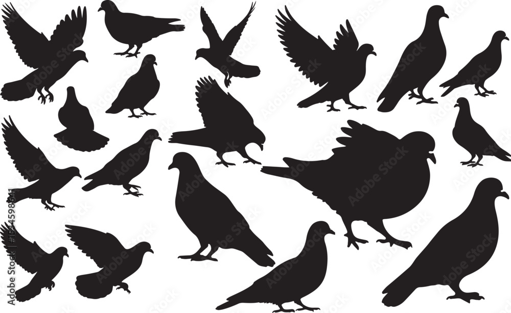 Obraz premium Pigeon Silhouettes Vector Pack