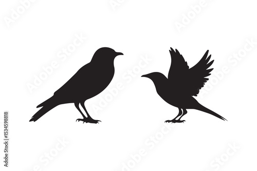 Bird Silhouette Vector Set Flying and Standing Bird Black Silhouettes Isolated