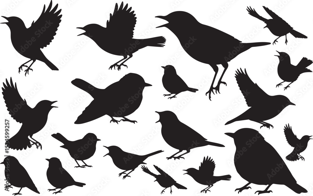 Fototapeta premium Warbler Silhouettes Vector Pack
