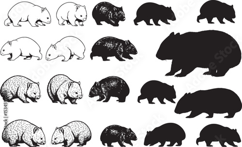Wombat Silhouettes
