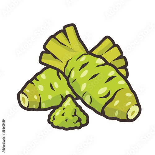 wasabi root, raw wasabi for japanese foodWhole and half wasabi isolated on white background. vector illustration	