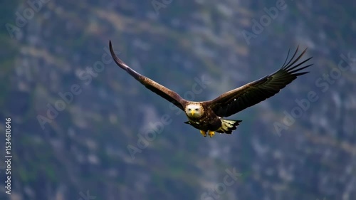 Majestic eagle with powerful wings gracefully soars mid-air against blurry mountain backdrop, displaying its yellow beak and intense gaze in flight.
