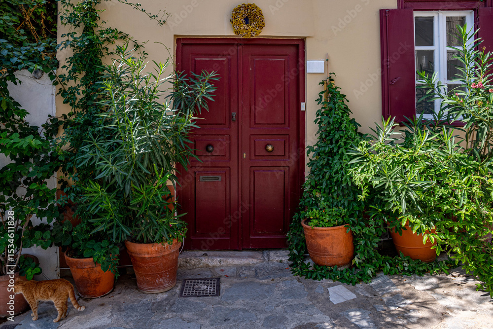 Naklejka premium Charming and cozy entrance of traditional house in Athens Greece featuring a red door framed by lush green plants and terracotta pots, and street cat