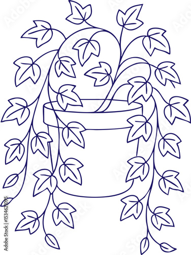 Potted ivy plant in line art style with trailing leaves