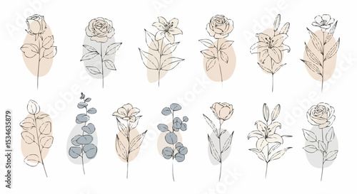Botanical line art drawing flowers rose lily eucalyptus floral design minimalist art nature drawing 100 char