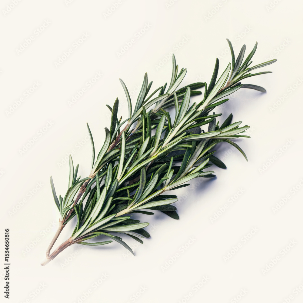 Fototapeta premium Fresh green rosemary sprigs, aromatic herb bundle on white