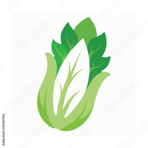 Vibrant Green Napa Cabbage Fresh, Healthy, and Delicious Vegetable
