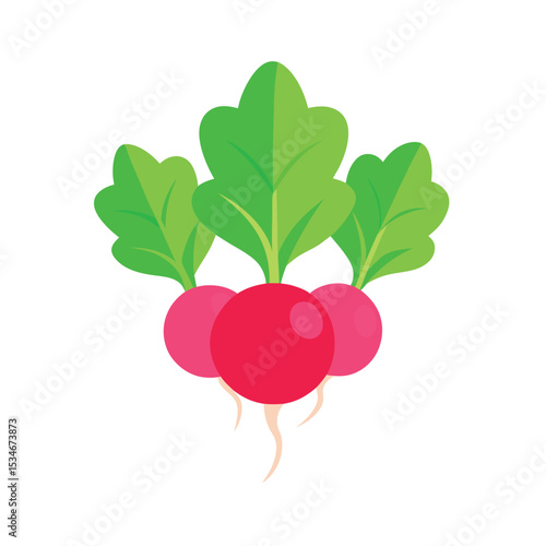 Vibrant Radishes Fresh, Healthy, and Delicious Root Vegetables