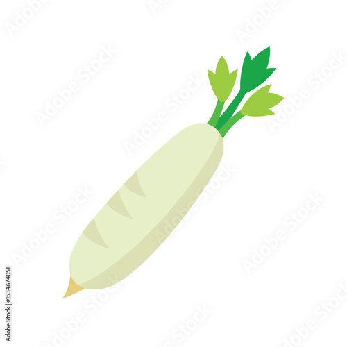 Fresh White Radish A Healthy and Versatile Root Vegetable