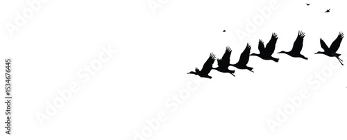 Silhouette Migrating Birds set